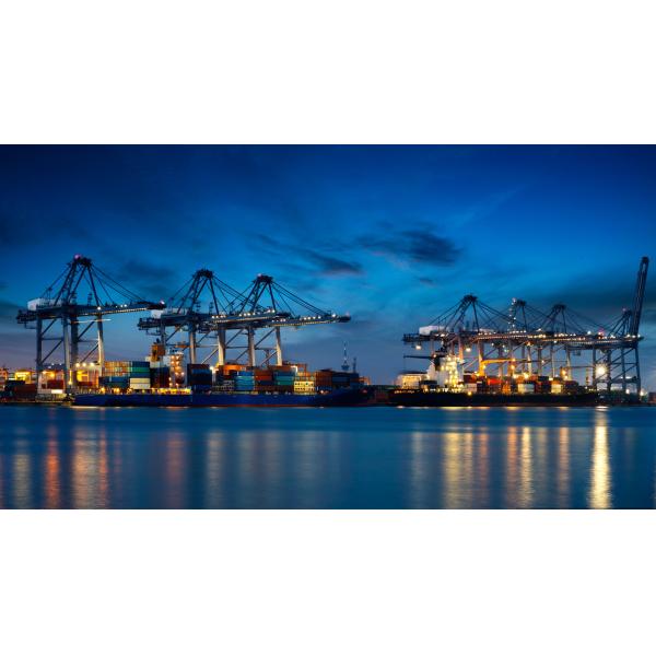 Buy DDU DDP EXW Sea Freight Shipping Professional Ocean Freight Canada at wholesale prices