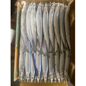 2# BQF Frozen Pacific Saury Fish With High Protein