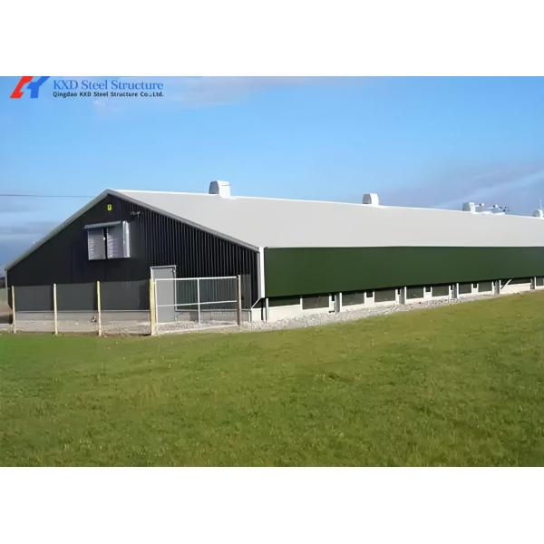 Commercial Steel Structure Poultry House with Feeding & Drinking Systems