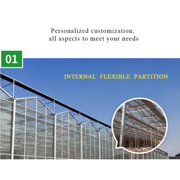 Good Light Permeability Essential for Venlo Glass Greenhouse in Agricultural Industry