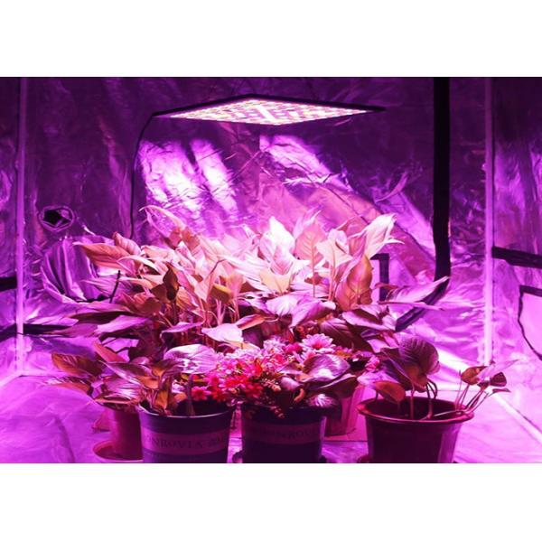 45W Indoor LED Grow Light / Full Spectrum Grow Lights IP65 Energy Saving CE / ROHS
