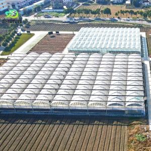 Quality Continuous Heating and Tunnel Cultivation Method Agricultural Plastic Film Greenhouse for sale