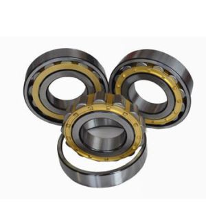 Steel Cage 30mm CPM2686 Gearbox Roller Bearing