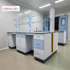 Standard Size Versatile Lab Furnitures Laboratory Casework for Various