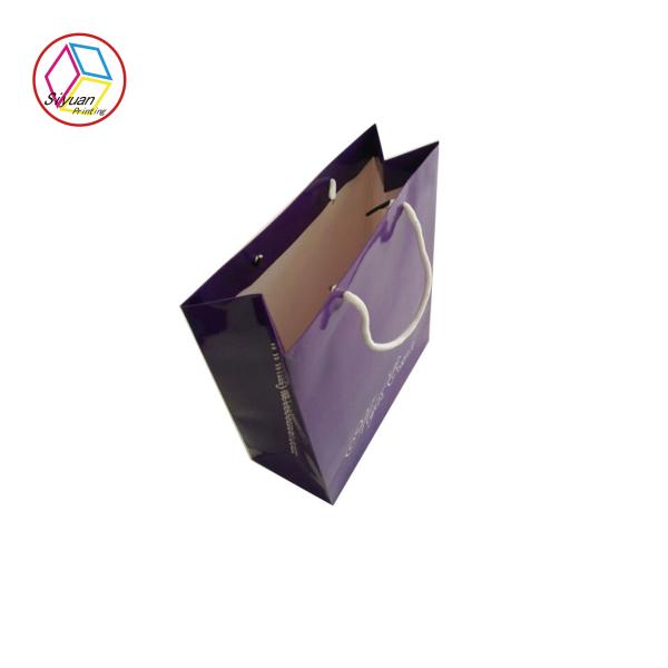 Buy Ivory Board Printed Paper Bags Varnish Surface With String at wholesale prices