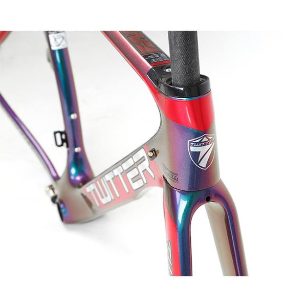 RoHS Certified Carbon Road Bike Frame 51cm With Holographic Color