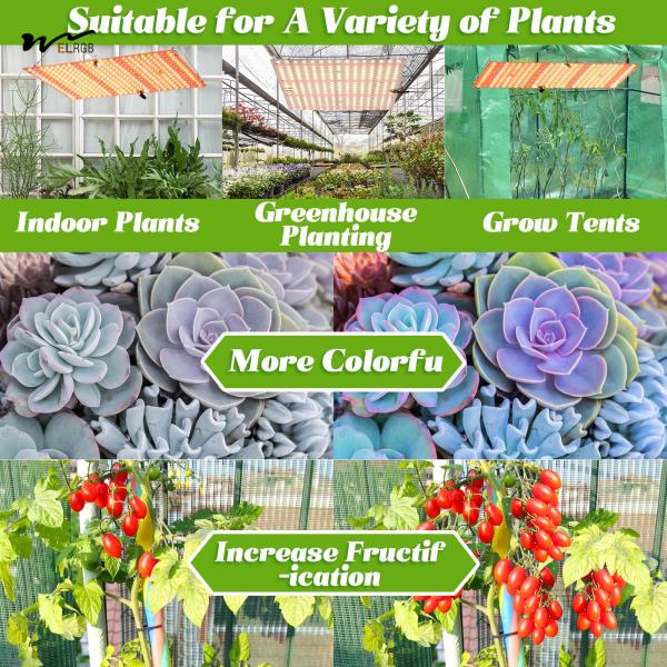 Hanging Full Spectrum LED Plant Light for Germination and Flowering in Grow Tents