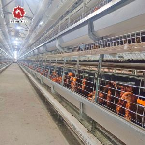 Hot Dipped Galvanized H Type Egg Layer Chicken Cage