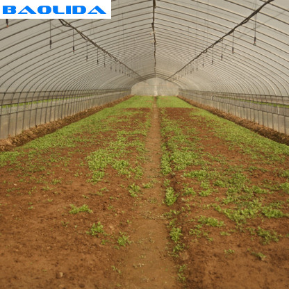 Buy Automatic System Plants Growing Farming Rigger Greenhouse Drip Irrigation System at wholesale prices