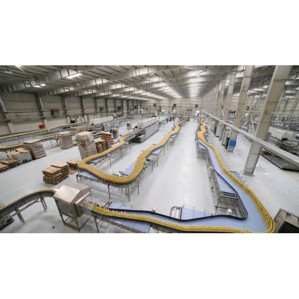 Stainless Steel 316 Apple Juice Processing Line 220V / 380V