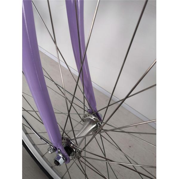 1.8m Length Steel Frame 700C Women Single Speed City Bike for American Market OEM/ODM
