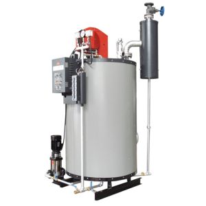 Water Tube Gas Fired Steam Boilers