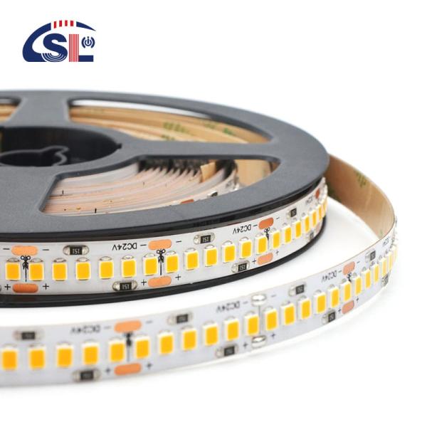 12v24v 240leds 10mm 3000K 4000K 6500K Die-Cutting Board dual color SMD2835 Led Strip Light