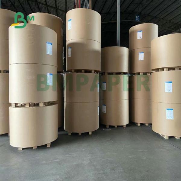 48gsm 50gsm 55gsm 1100mm 1200mm Printable Thermal Paper For Bank ATMs 48gsm 50gsm 55gsm 1100mm 1200mm Printable Thermal Paper For Bank ATMs