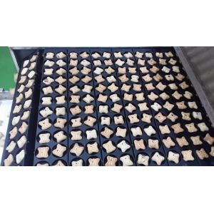 SIEMENS electrical Chocolate Filling Biscuit Making Machine