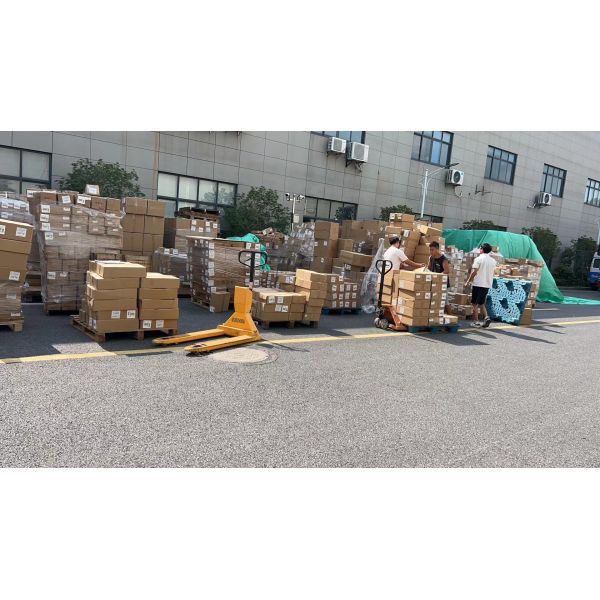 FCL Sea Freight Air Lcl China To Dominica International Maritime Container DDU