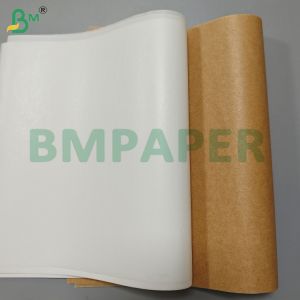 High Temperature Resistant Silicone Coated Paper Rolls for Baking