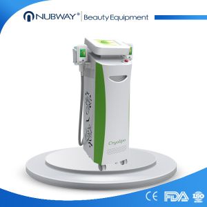 China 2 handles Zeltiq Fat freezing Cryolipolysis body slimming machine on sale