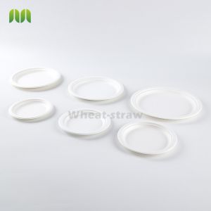 Disposable Biodegradable Sugarcane Bagasse Packing Rectangular Trays Plate Dish
