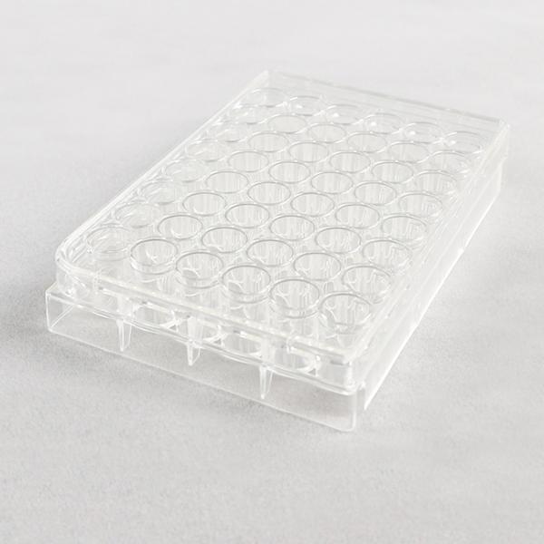 Cell Culture Plate