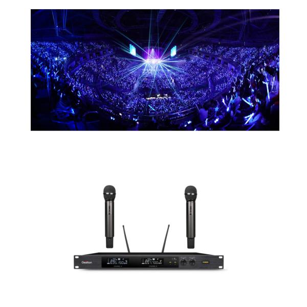 Buy High Quality Handheld Wireless Microphone 2 Channel UHF Professional Karaoke at wholesale prices