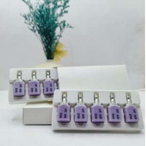 Chairside Glass Ceramic System 20 Minute Crystallization High Bionic Aesthetics