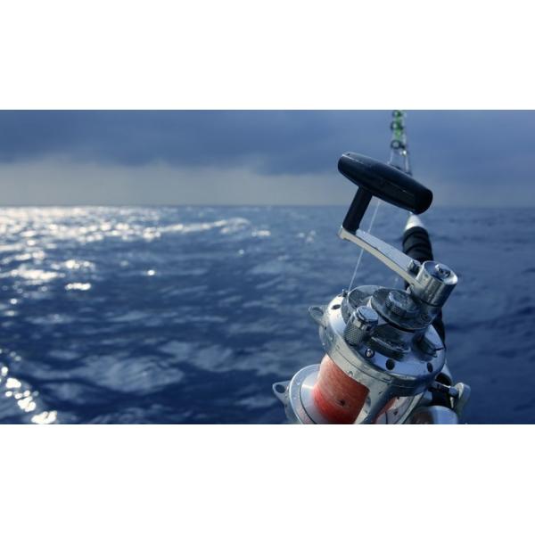 MR105 MR115 623 Miniature Ceramic Bearing Casting Reel For Fishing Reels