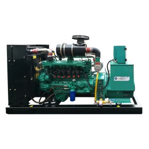 LPG Generator Natural Gas Generator Price
