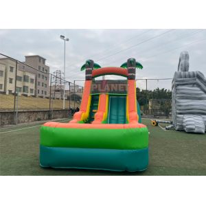 PVC Jungle Party 1000D Durable Inflatable Pool Slide