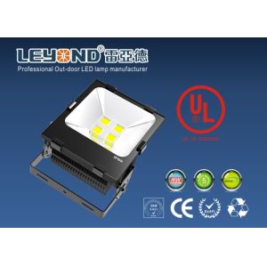 ASA housing Waterproof LED Flood Lights10watt - 200watt CE RoHS