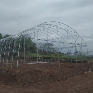 Single Span Plastic Tunnel Greenhouse Polyethylene Farm Agriculture Support