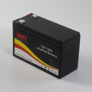 Fast Shipment 12V 12AH Lifepo4 Battery Factory Direct Sale