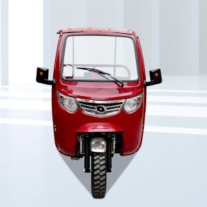 Cabin DAYANG Motorized Adult Passenger Cargo Tricycle 3 Wheel Bike Taxi Tuk Tuk