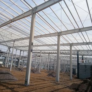 Multi Storey Large Span Customized Prefabricated Steel Structure Warehouse