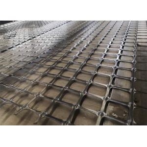Road Construction Project Plastic Geogrid Mesh 100m Length
