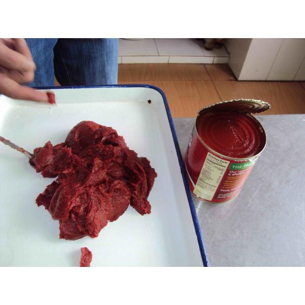 Buy Canned Tomato Paste 70-400g Made from Fresh Ripe Tomatoes at wholesale prices