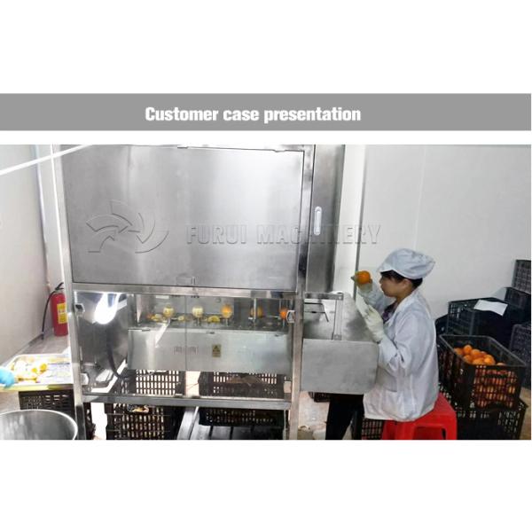 220V Fruit And Vegetable Processing Machine Full Automatic Peeling Washing System