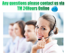 Panrose 611001 Building Blocks Puzzle Brain Dinosaur Series Large Tyrannosaurus Rex Toys