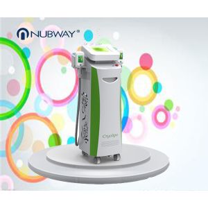 Quality whole year biggest promotion activity fat removal silmutaneous double handle super -15℃ Cryolipolysis body slimming for sale