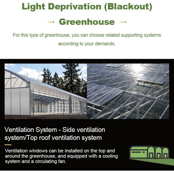 Mushroom Light Deprivation Greenhouse With Hot Dip Galvanized Steel Pipe