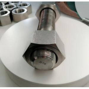 Inconel 718 Uns N07718 Din2.3668 Hex Head Bolts 2205 Grade