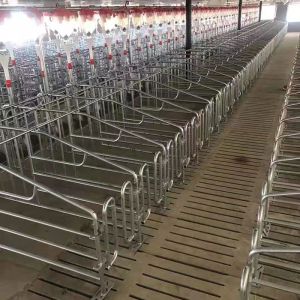 2.5 - 30 Tons Silo Piggery Farm Equipment Swine Breeding Equipment ISO9001