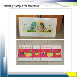 Automatic Corrugated Box Die Cutting Machine With 2 Year Warranty