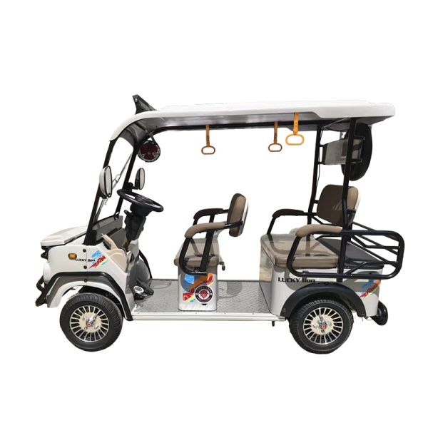 Breakthrough 4-Seat Capacity Electric Passenger Four-Wheeler with 1000W Motor