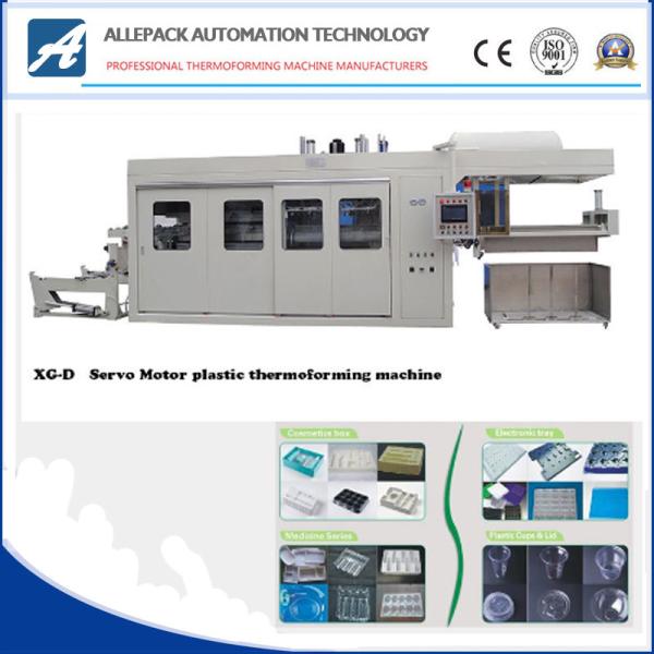 Buy PLC Lid Plastic Thermoforming Machine With Automatic Touch Screen at wholesale prices