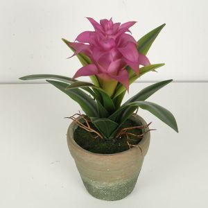 Guzmania Flexible Glue Fake Bonsai Tree 28cm High Simulation Multicolour