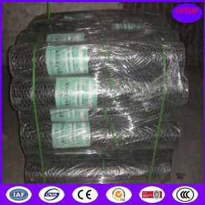 Quality China Chicken wire factory with good price for sale