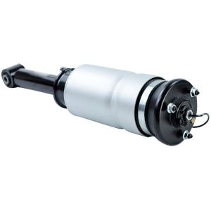 LR019993 Air Suspension Parts Air Suspension Strut