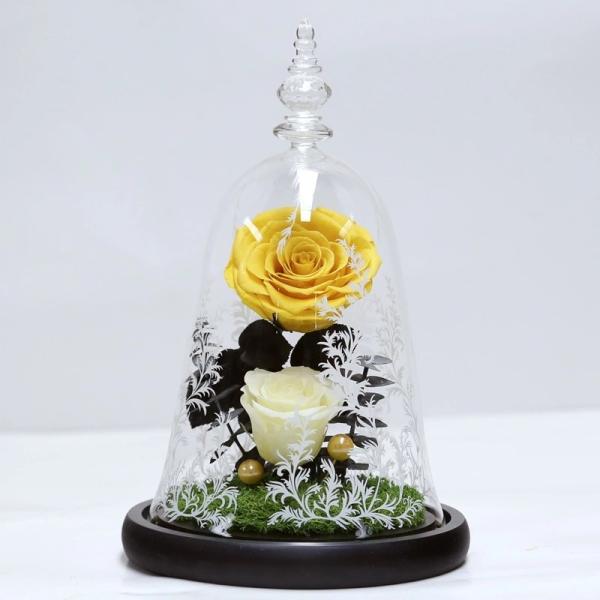 Beauty and the beast roses valentines day real preserved rose in glass that lasting 3 years