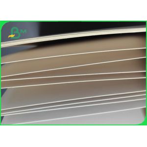 270gsm Clay Coated Kraft Back ( CCK ) 900mm Roll Tear Resistance